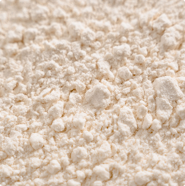Avena Sativa Kernel