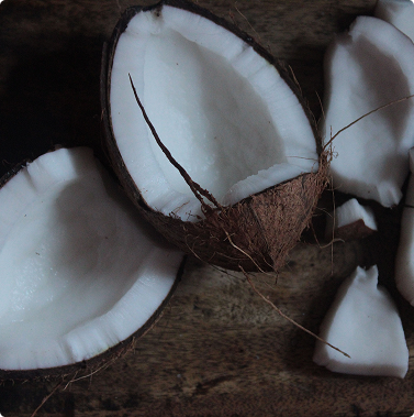 Coconut Oil