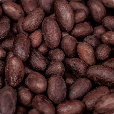 Shea Butter